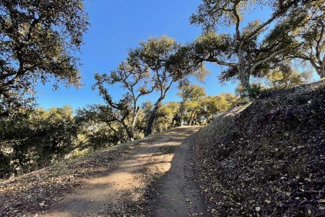 17114 Cachagua Road, Carmel Valley CA: https://media.crmls.org/mediaz/5781043b-9bd4-47ed-a80d-770deec2c7f3.jpg