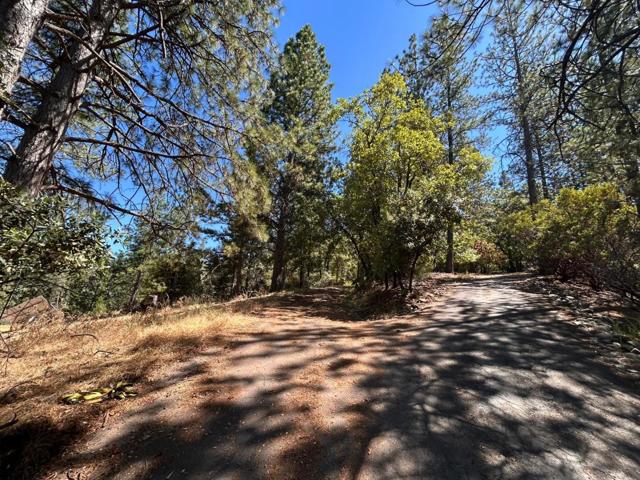 1720 Jacobs Way, Placerville CA: https://media.crmls.org/mediaz/5782bd1f-f4d9-40ee-83c7-9aebae600364.jpg