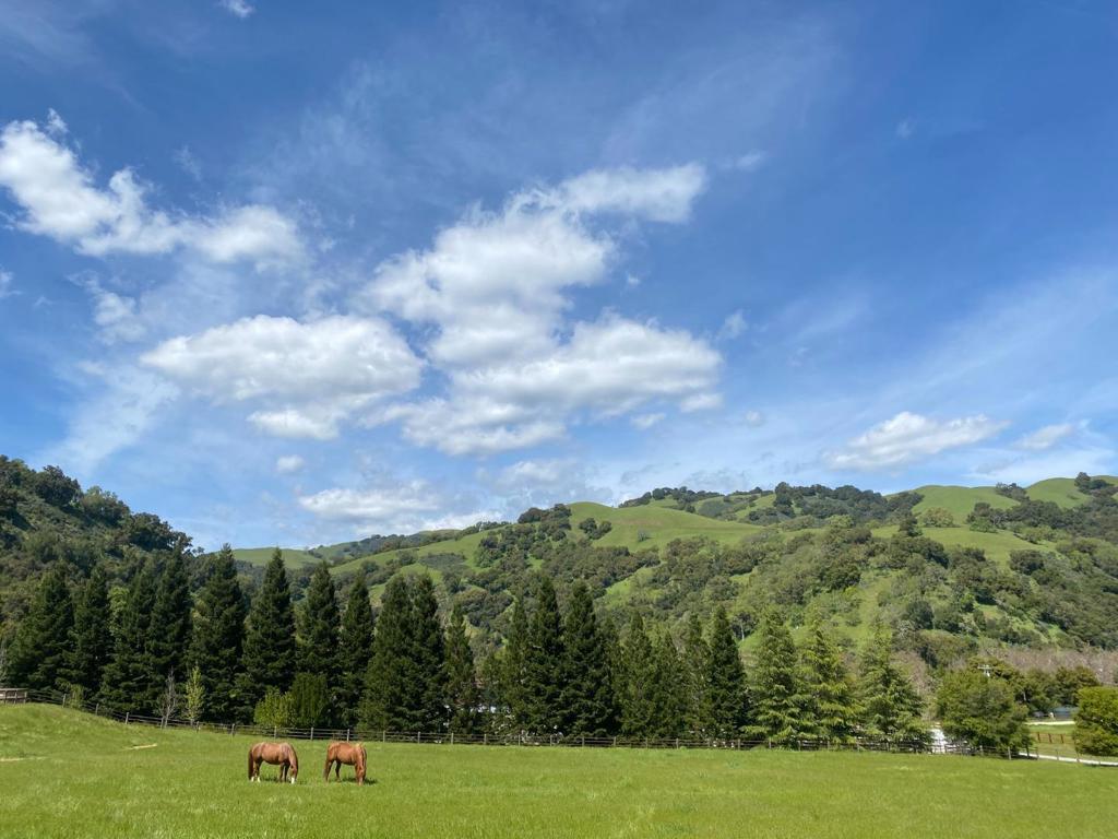 https://media.crmls.org/mediaz/578f8c9c-f2ac-4574-b96d-215de7377934.jpg?preset=X-Large