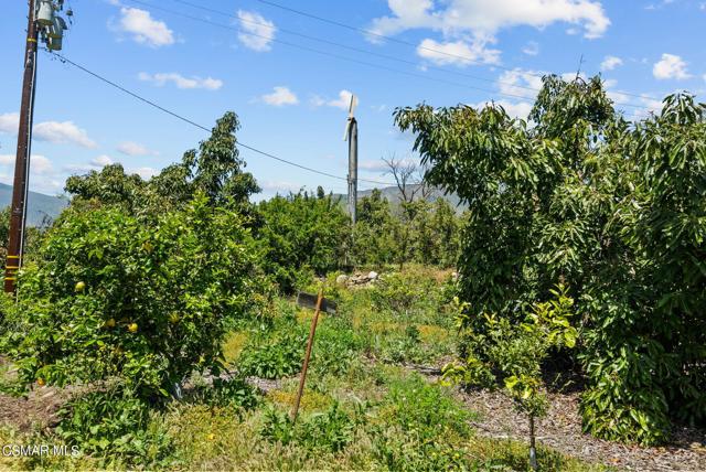 5682 Pine Grove Road, Santa Paula CA: https://media.crmls.org/mediaz/57919e45-3142-4732-b9f2-6e86fe48d8f6.jpg