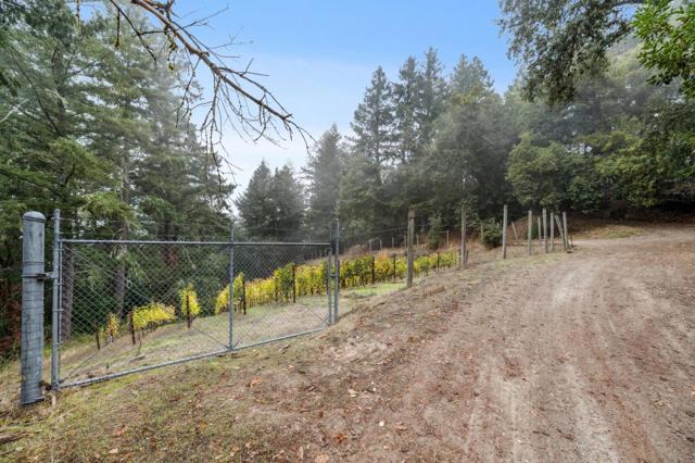 19089 Skyline Boulevard, Los Gatos CA: https://media.crmls.org/mediaz/57988432-52ce-493b-a529-1b7c20d44c52.jpg