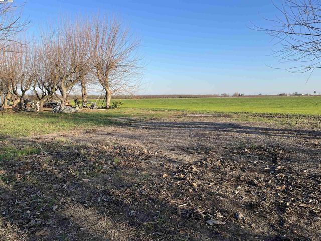 1290 Orange Ave, Patterson CA: https://media.crmls.org/mediaz/579cb69f-4b51-44f1-ad45-5d095b37ac9a.jpg