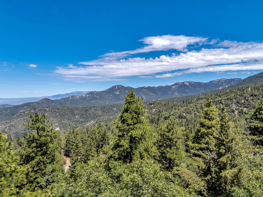 https://media.crmls.org/mediaz/579e1715-c322-4691-8ef4-7c608a0322d2.jpg?preset=X-Large