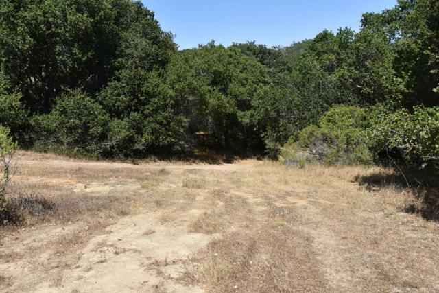 0 Alexander Lane, San Juan Bautista CA: https://media.crmls.org/mediaz/57a14bee-627a-4fe4-b4d6-ec64ff664dc1.jpg