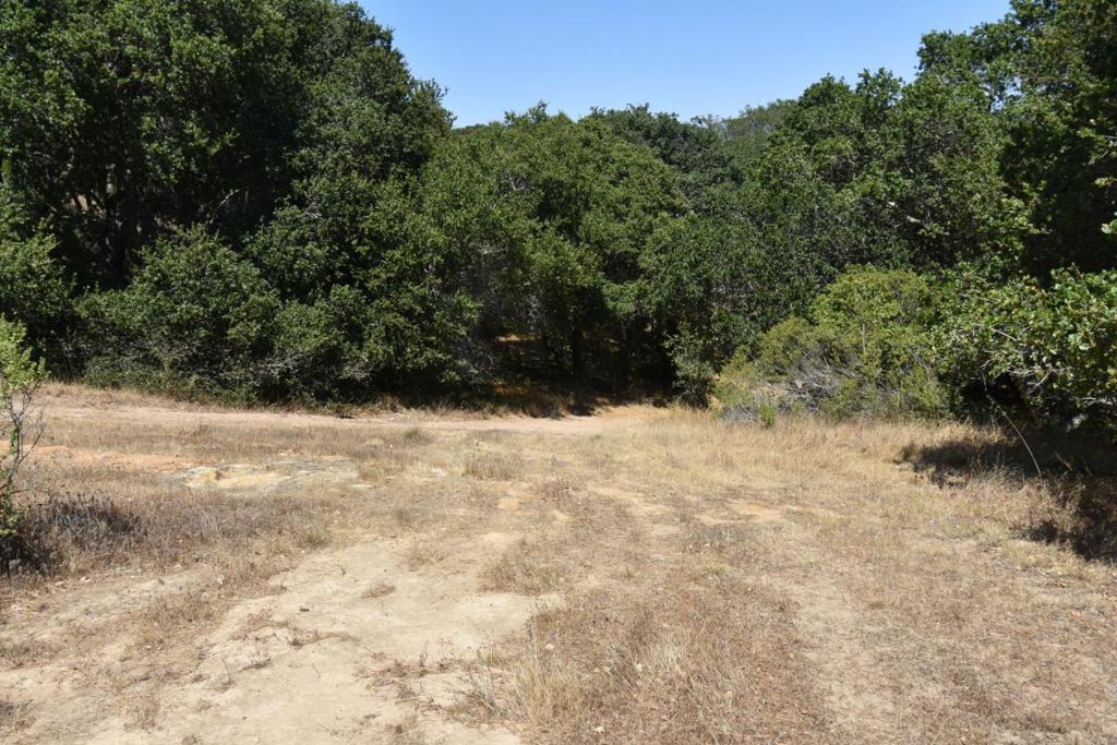 MLS #ML81994433 image #39