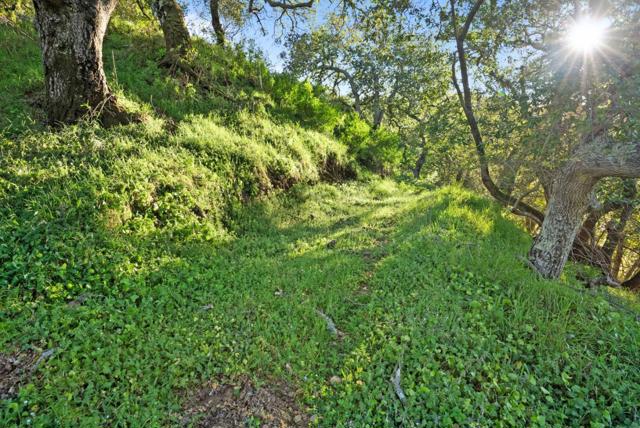 3533 Springhill Road, Lafayette CA: https://media.crmls.org/mediaz/57a19059-9fb1-4acb-8dc8-daf8e521634f.jpg