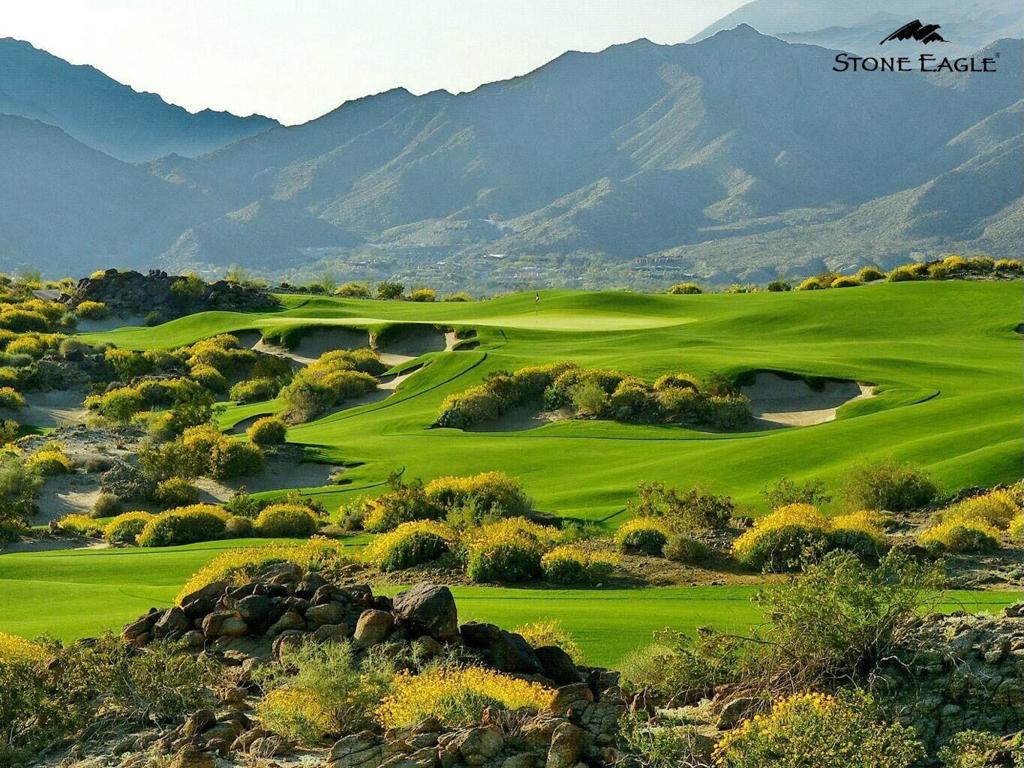 MLS #219128990DA image #7