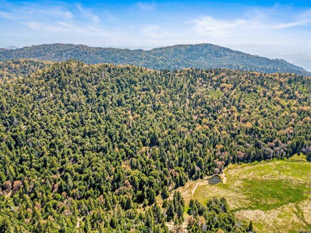 Detail Gallery Image 26 of 30 For 14 +/- Acres Palomar Divide Truck Trl, Palomar Mountain,  CA 92060 - – Beds | – Baths