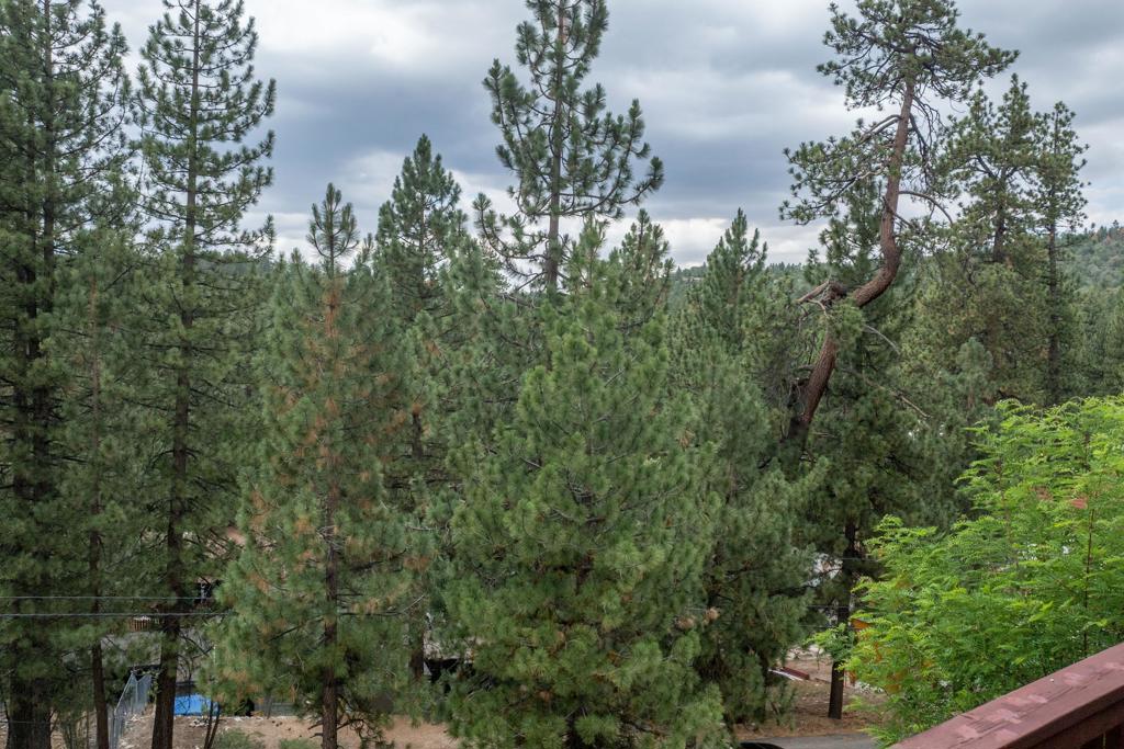 https://media.crmls.org/mediaz/57b9b758-33a8-454d-8901-2433c6a310a7.jpg?preset=X-Large