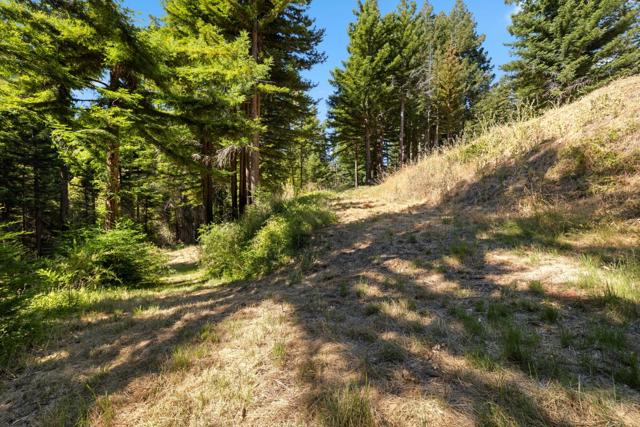 830 Kings Highway, Boulder Creek CA: https://media.crmls.org/mediaz/57bd3576-a210-46ce-bd52-c70c70d1e54e.jpg
