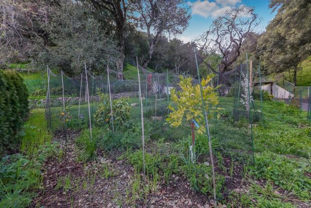 10875 Stevens Canyon Road, Cupertino CA: https://media.crmls.org/mediaz/57bd4901-39ac-4a50-80cc-ad7a9ecce2d0.jpg