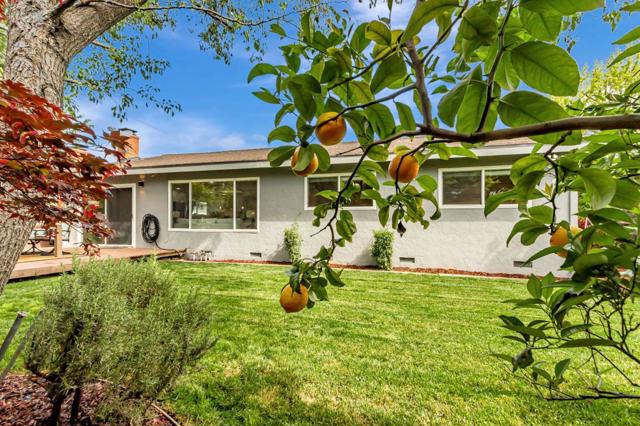 529 Park Meadow Court, San Jose CA: https://media.crmls.org/mediaz/57c65fea-63f1-4f7e-8d43-f4604d004149.jpg