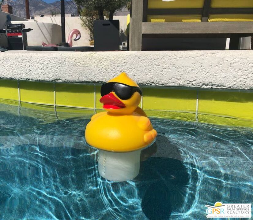 MLS #25586269PS image #12