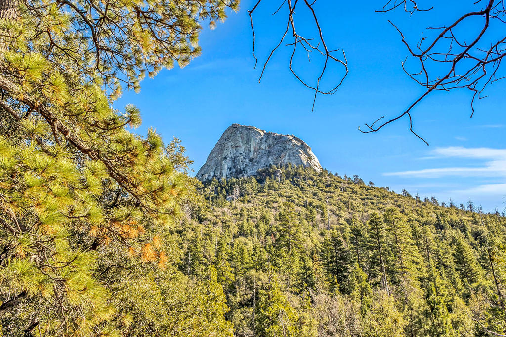 https://media.crmls.org/mediaz/57de9a37-4b56-4636-bc9d-18b92584b8f6.jpg?preset=X-Large