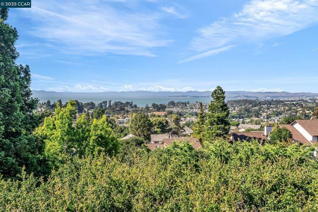 1310 Lewis Ln, Pinole CA: https://media.crmls.org/mediaz/57e05bdb-8f3b-4767-ad69-7f944b5e5825.jpg
