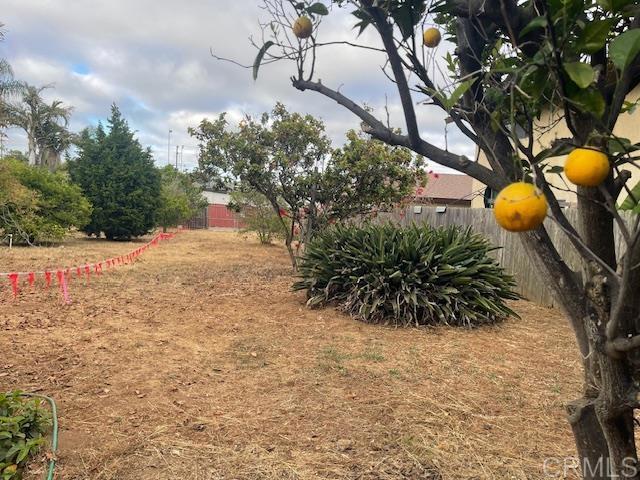 3328 Roosevelt Street - photo 3