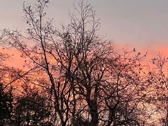 Detail Gallery Image 40 of 51 For 22209 Crestline Rd, Palomar Mountain,  CA 92060 - 3 Beds | 1/1 Baths