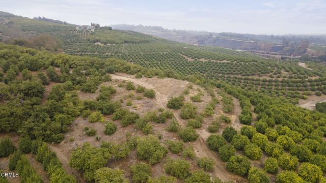 0 Donlon Road, Somis CA: https://media.crmls.org/mediaz/57e6ae6a-8f5d-4deb-9176-e497889e7ddb.jpg