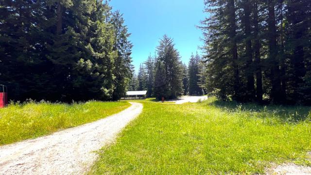 3675 Bonny Doon Road, Santa Cruz CA: https://media.crmls.org/mediaz/57f1b7f1-76f4-4a95-aa5d-9d079a0cd146.jpg