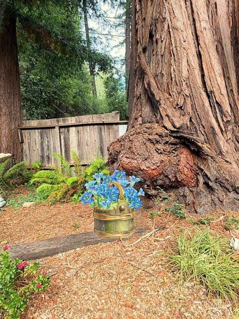 160 Nellie Lane, Boulder Creek CA: https://media.crmls.org/mediaz/57f53e98-a416-4930-ac4a-4dd8b210058e.jpg