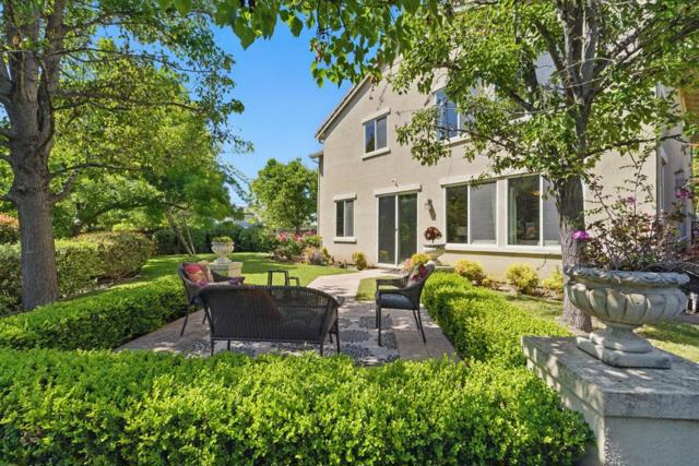 1353 Cristal Court, San Jose CA: https://media.crmls.org/mediaz/57f74318-a22e-4cab-a564-94df51b1b3e7.jpg
