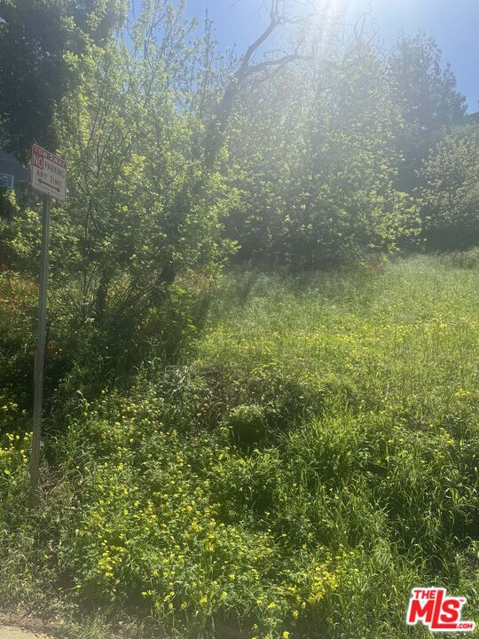 0 Groveland Drive, Los Angeles CA: https://media.crmls.org/mediaz/58024065-2a6e-41c3-a576-e9efb8b3a2b2.jpg
