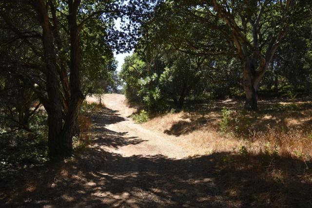 0 Alexander Lane, San Juan Bautista CA: https://media.crmls.org/mediaz/580d966c-4031-45b8-bb5a-b1a22d33c6c8.jpg