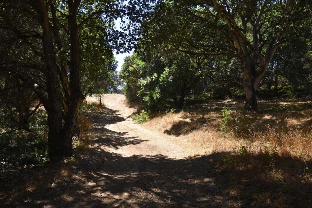 MLS #ML81994433 image #11