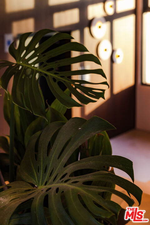 https://media.crmls.org/mediaz/5810dc3e-06d5-46dc-af00-1cd36dca7640.jpg?preset=X-Large