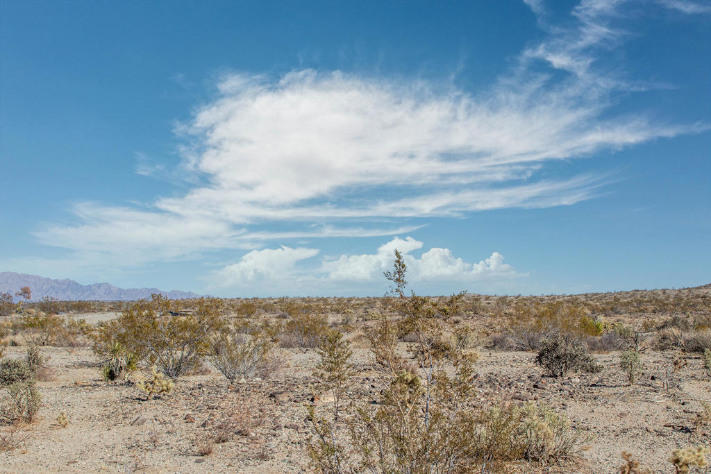 MLS #219131400PS image #12