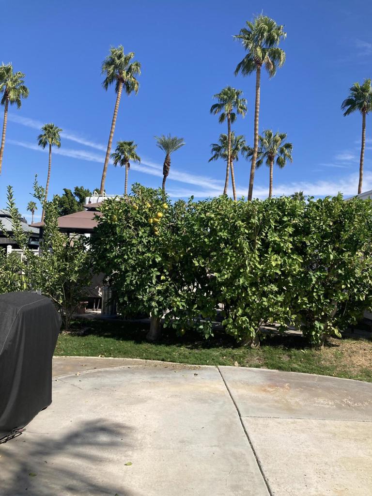 MLS #219135740DA image #7