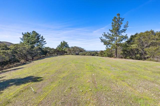 8425 Alta Tierra (Lot 66), Carmel CA: https://media.crmls.org/mediaz/58214dc1-d2b8-447d-8859-52169a1fcf67.jpg