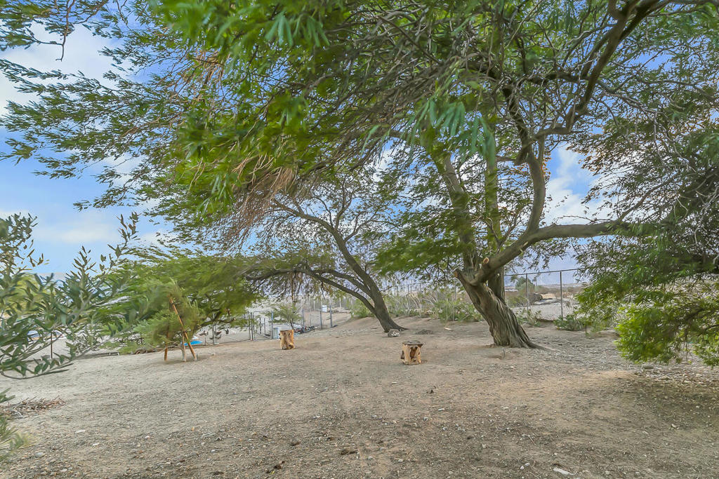 MLS #219136139DA image #79