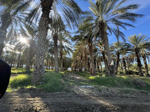 0 Nwc Pierce St & Ave 64, Thermal CA: https://media.crmls.org/mediaz/5827f6bb-c423-4cc4-955d-65dbf3291e2c.jpg