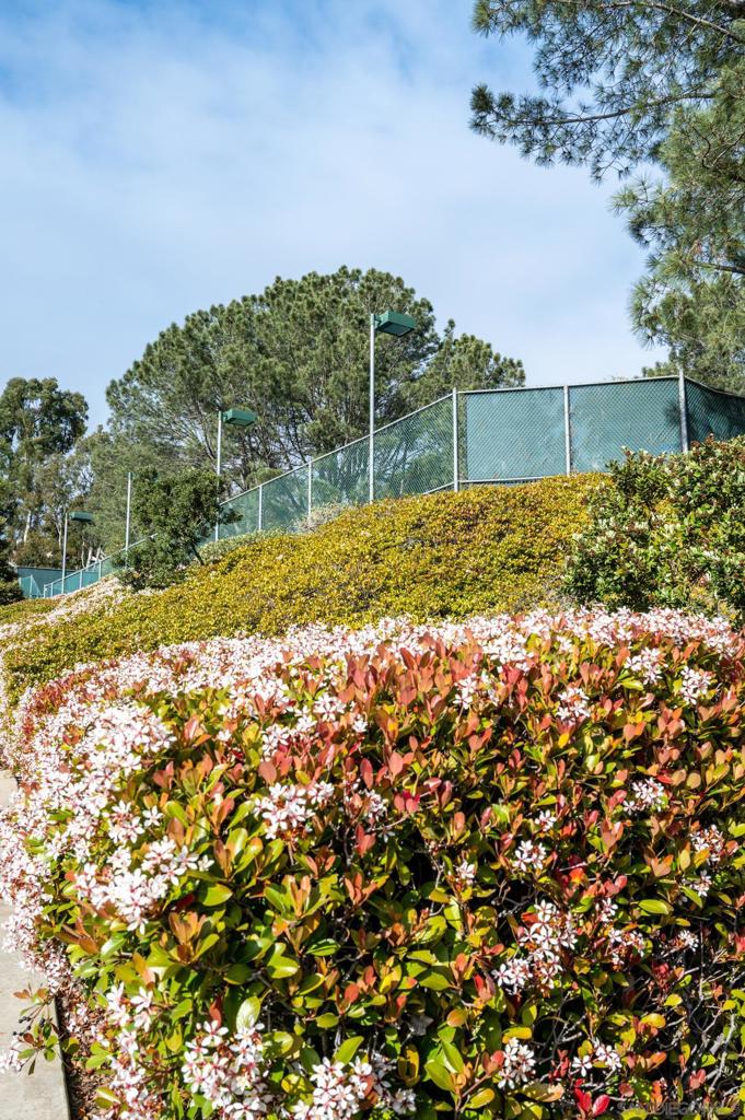 MLS #250037852SD image #36