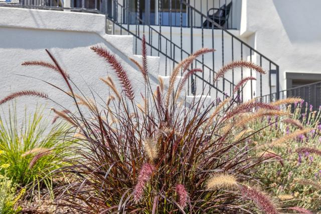 2643 99Th Ave, Oakland CA: https://media.crmls.org/mediaz/583492bc-cdf8-4afa-aa50-ec1ce506ef72.jpg