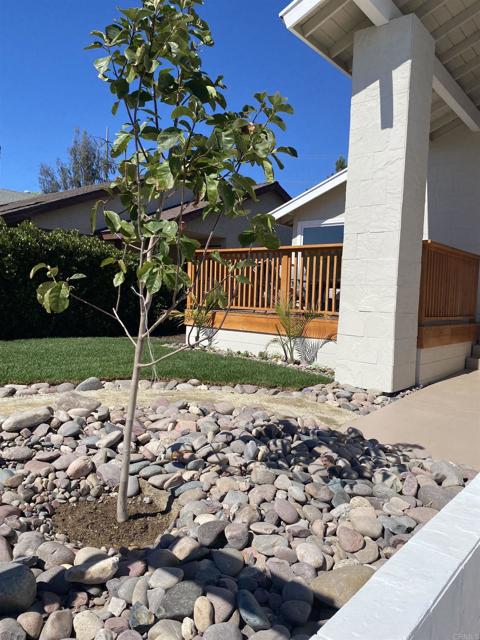 13837 Paseo Cardiel, San Diego CA: https://media.crmls.org/mediaz/5836f1e6-a629-4185-b2fb-76ee82c51c9d.jpg