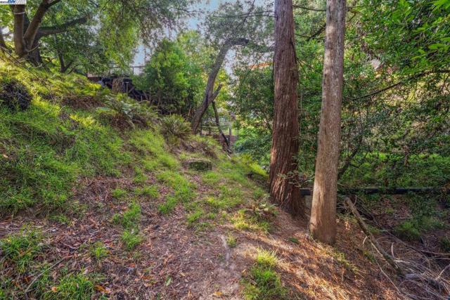 7171 HOMEWOOD DRIVE, Oakland CA: https://media.crmls.org/mediaz/583b7c4c-f40b-4139-9b38-cdb89ab8780c.jpg