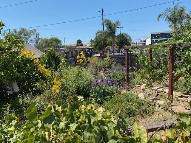 127 Miller Lane, Santa Paula CA: https://media.crmls.org/mediaz/5840901e-08e6-40c1-aa10-105121074abd.jpg