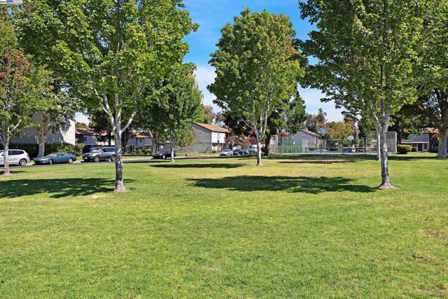 3545 Northwood Drive, Concord CA: https://media.crmls.org/mediaz/5845c4dc-cf39-42fe-a87a-21fe710f8939.jpg