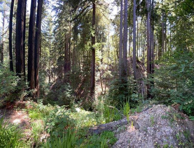 506 Sunset Road, Boulder Creek CA: https://media.crmls.org/mediaz/5848ea99-83a1-4983-a380-8ba61504329e.jpg