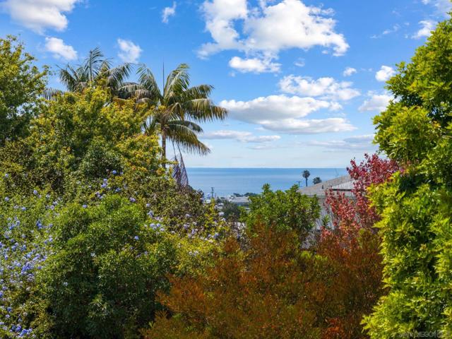 857 Hymettus Ave, Encinitas CA: https://media.crmls.org/mediaz/584d557a-843e-4c27-82f6-3891cd9af602.jpg