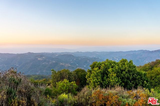 21965 Saddle Peak Road, Topanga CA: https://media.crmls.org/mediaz/5859a053-a7a4-48f0-a3b2-5976dbb9802c.jpg
