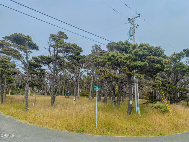 45465 Pacifica Drive, Caspar CA: https://media.crmls.org/mediaz/585d73e7-7c0a-417b-9c8d-9e478c57a768.jpg