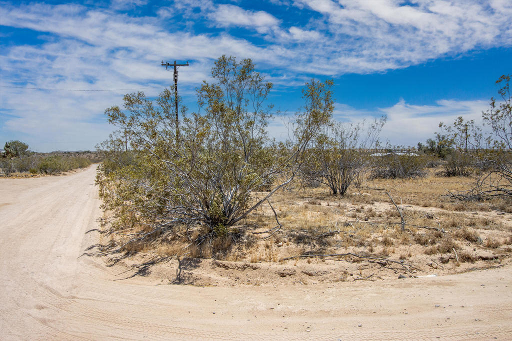 MLS #219132429PS image #2