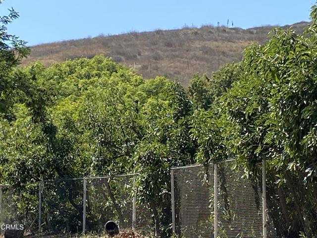 6120 Gabbert Road, Moorpark CA: https://media.crmls.org/mediaz/58610611-9bbc-4315-8c50-ddb91c567f01.jpg
