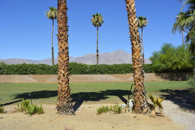 Detail Gallery Image 4 of 48 For 1010 Palm Canyon Dr #294, Borrego Springs,  CA 92004 - 2 Beds | 2 Baths