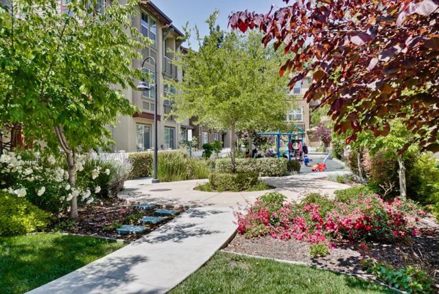 247 Peppermint Tree Terrace, Sunnyvale CA: https://media.crmls.org/mediaz/586b4ddc-77bd-4eee-b062-821d19a2a3f8.jpg