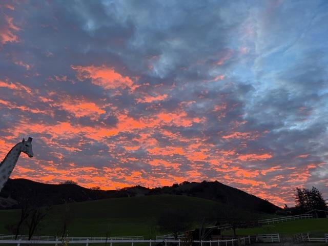 350 San Benancio Road, Salinas CA: https://media.crmls.org/mediaz/588cbf30-8be2-49f9-80cf-122b7c44552a.jpg