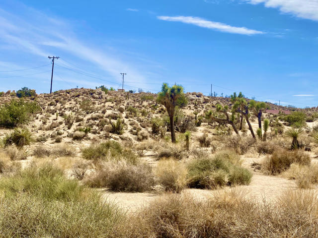 104 Bandera Road, Yucca Valley CA: https://media.crmls.org/mediaz/589129ee-c0f3-44f0-98b5-603c454f902f.jpg